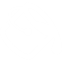 Paint Bucket Icon