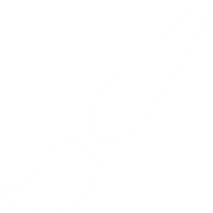 Paintbrush Icon